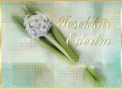 teşekkür3