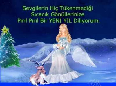 YENİ YIL