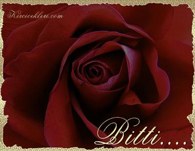 bitti