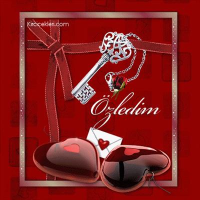 özlem5