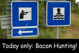 Bacon Hunting