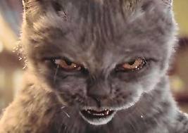 smorfia gattesca 2
