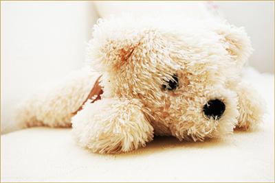 Teddy 3