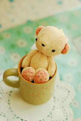Teddy 1