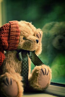 Teddy 2