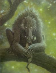chupacabra