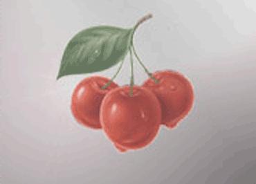 cherry