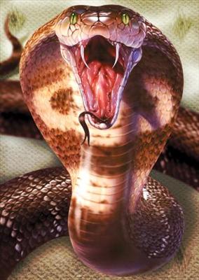 Snake