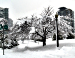 Go play in the snow