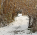 Grab a thermos and go for a snowy trail hike!
