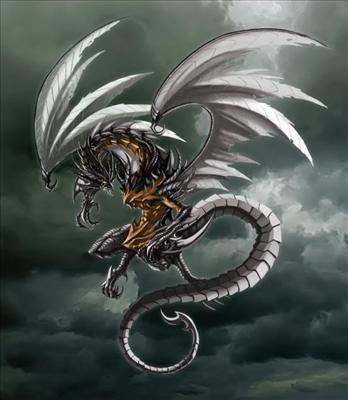 dark dragon