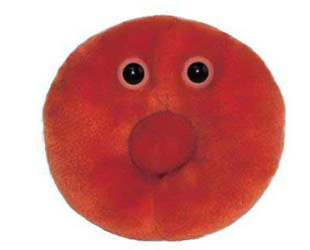 Blood Cells