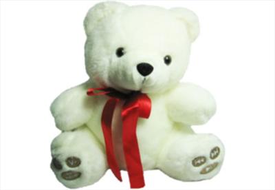 Osito de Peluche