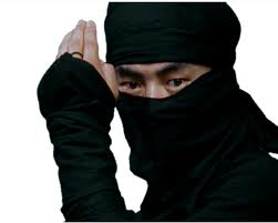 a ninja. :) just cause ninjas are cool :D