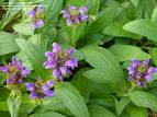 self-heal