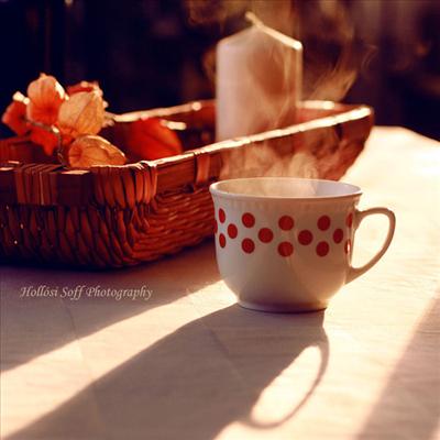 çay