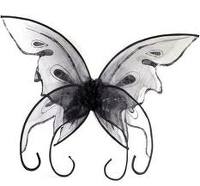 Black Butterfly