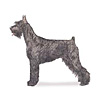 Schnauzer
