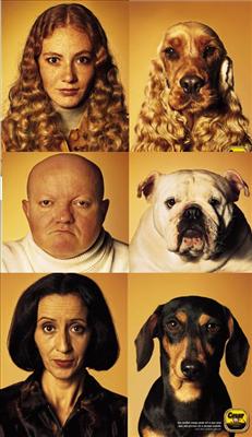 do you look like your dog 