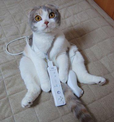 play the wii