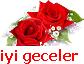 Gullerle Iyi Geceler Dile