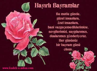 Bayram Gulu Pembe