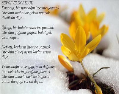 Siir-Sevgi ve Dostluk