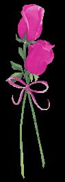 Pembe gul demet
