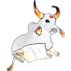 Bumbá Ox (Guaranteed)