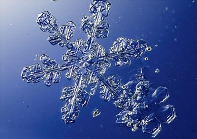 Snowflake2