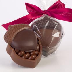 acorn