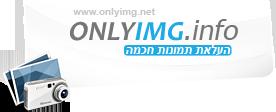 ניצחת או לקחת?  