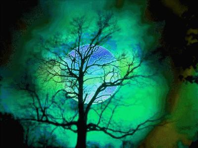 Serenity's Moon Light