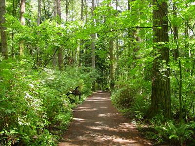 Serenity's Trail