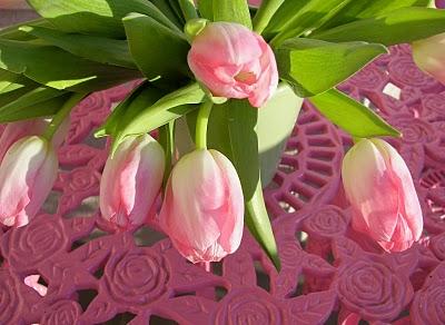 tulips