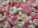 Foam Mushrooms