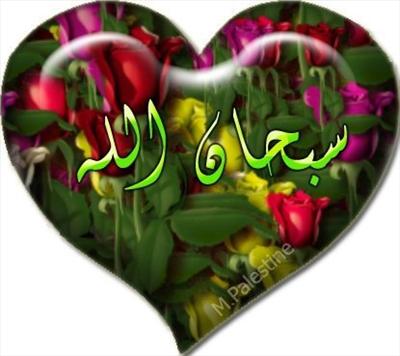 ممكن تقول سبحان الله 