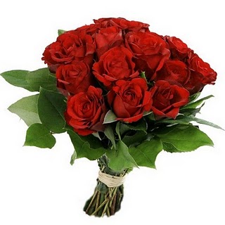 Bunga rose merah