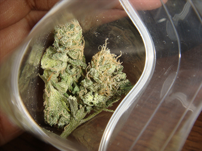 10 Bud