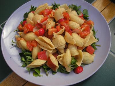 PASTA -SALAD