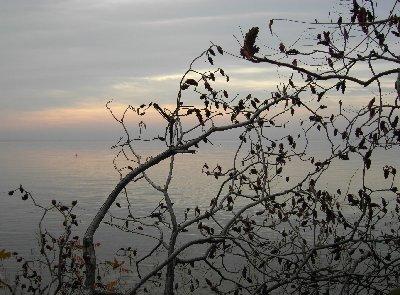 malinconia 