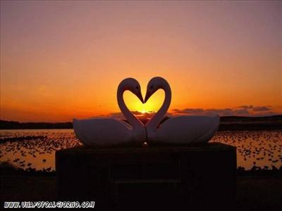 amore