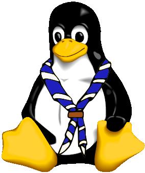 Pinguino informatico