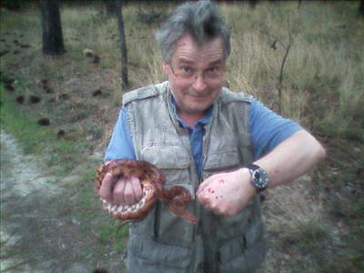 Got corn snake?