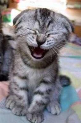 un sorriso