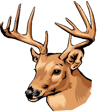 Geyik