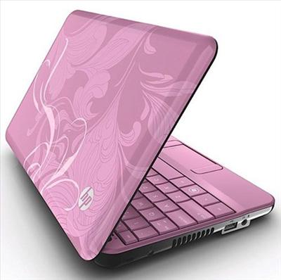 mini netbook pink