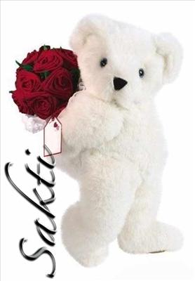 teddy 4 wish u sweet day
