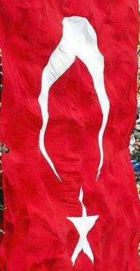 BAYRAK