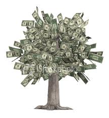 money tree